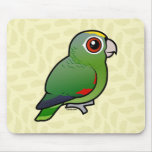 Cute Mealy Parrot by Birdorable