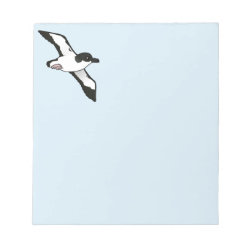 Newell's Shearwater (flight) 5.5