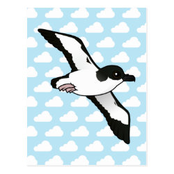 Newell's Shearwater (flight) Postcard