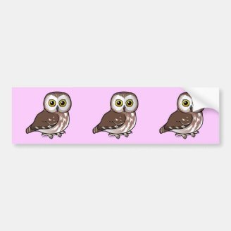 Northern Saw-whet Owl Bumper Sticker