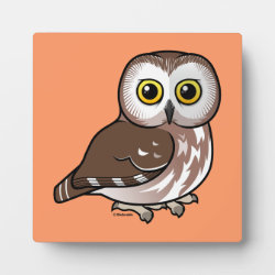 Northern Saw-whet Owl Photo Plaque 5.25