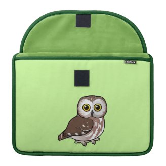 Northern Saw-whet Owl Macbook Pro 13