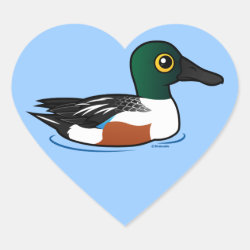 Swimming Northern Shoveler Heart Sticker