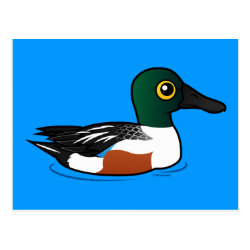 Swimming Northern Shoveler Postcard