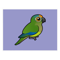 Birdorable Peach-fronted Parakeet Postcard
