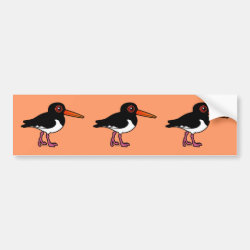 Birdorable Pied Oystercatcher Bumper Sticker