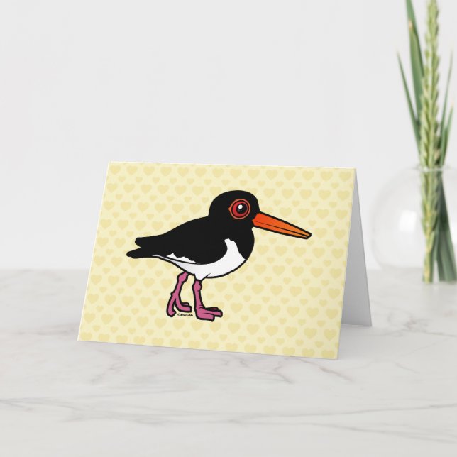 Birdorable Pied Oystercatcher Card (Front)
