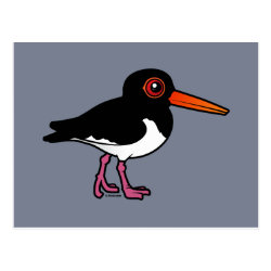 Birdorable Pied Oystercatcher Postcard