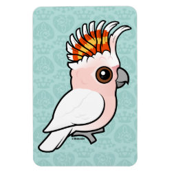 Pink Cockatoo 4