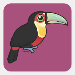 Red-breasted Toucan Square Sticker