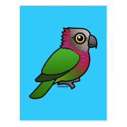 Red-fan or Hawk-headed Parrot Postcard