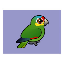 Birdorable Red-lored Parrot Postcard