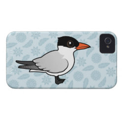 Royal Tern Case-Mate iPhone 4 Barely There Universal Case
