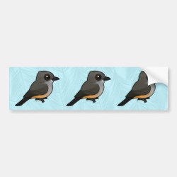 Say's Phoebe Bumper Sticker