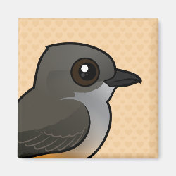 Say's Phoebe Square Magnet