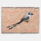 Birdorable Scissor-tailed Flychatcher Throw Blanket