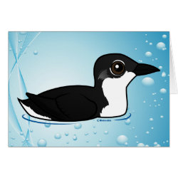 Scripp's Murrelet Greeting Card