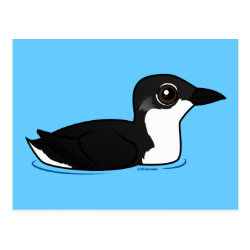 Scripp's Murrelet Postcard