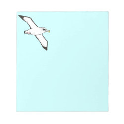 Shy Albatross in flight 5.5