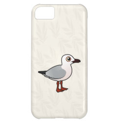 Slender-billed Gull Case-Mate Barely There iPhone 5C Case