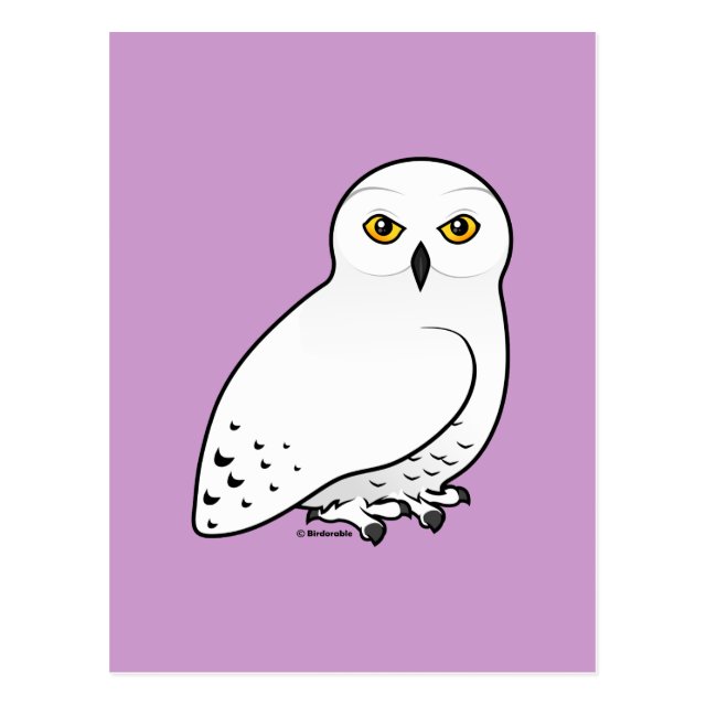 35+ Latest Snowy Owl Drawing Cute | Beads by Laura