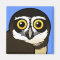 Birdorable Spectacled Owl Magnet