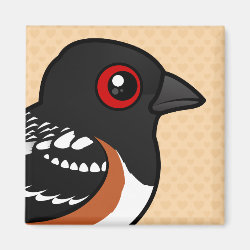 Spotted Towhee Square Magnet