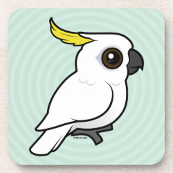 Sulphur-crested Cockatoo crest down Beverage Coaster