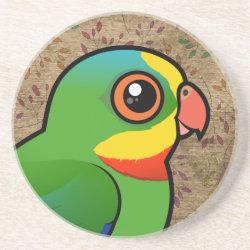 Superb Parrot Sandstone Drink Coaster