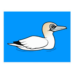 Swimming Northern Gannet Postcard