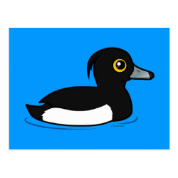 Swimming Tufted Duck Postcard