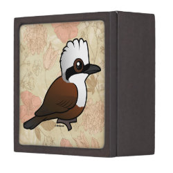 White-crested Laughingthrush Medium (3