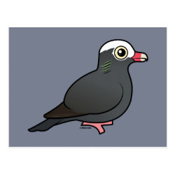 White-crowned Pigeon Postcard