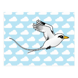 White-tailed Tropicbird in flight Postcard