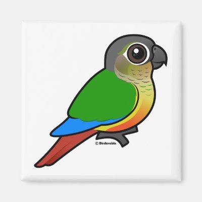 Birdorable Yellow-sided Conure Magnet