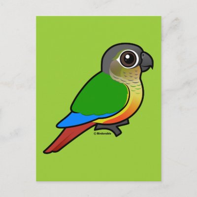 Birdorable Yellow-sided Conure Postcard