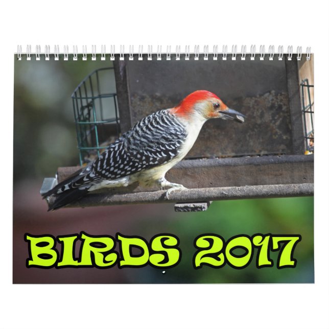 Birds 2017 calendar (Cover)