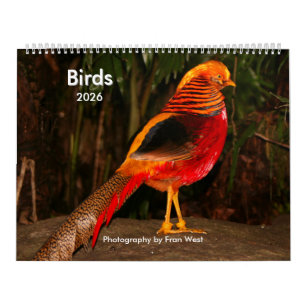 Birds 2026 calendar