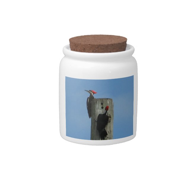Birds Against Blue Sky Photo Candy Jar (Front)