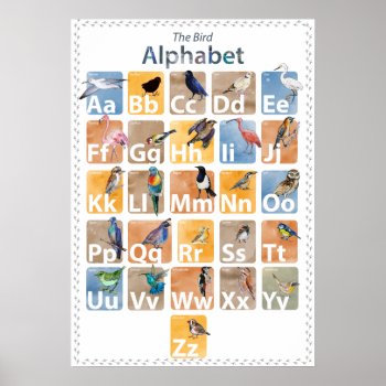 Birds Alphabet Poster by Ink_Ribbon at Zazzle