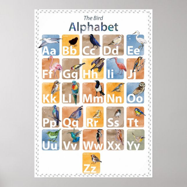 Birds alphabet poster (Front)