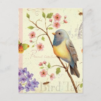 Birds And Bees Postcard by wildapple at Zazzle