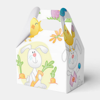 Birds and Bunnies Favor Boxes