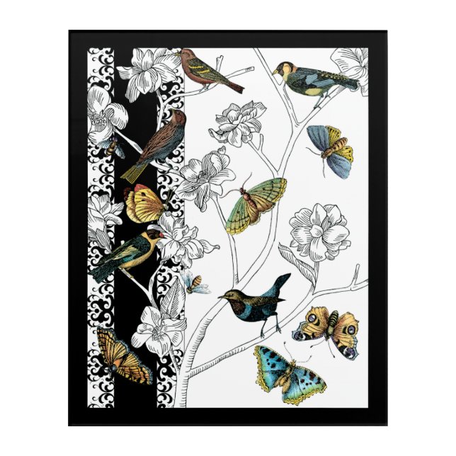 Birds and Butterfly on a Black & White Background Acrylic Print (Front)