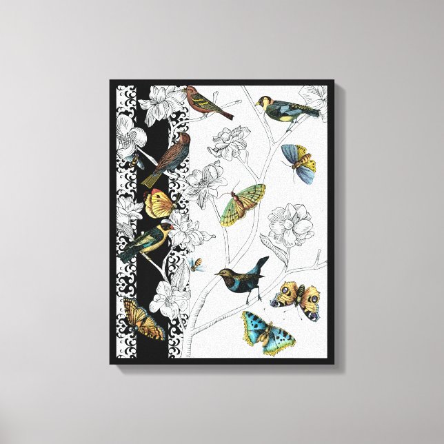 Birds and Butterfly on a Black & White Background Canvas Print (Front)