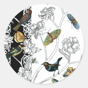 Birds and Butterfly on a Black & White Background Classic Round Sticker