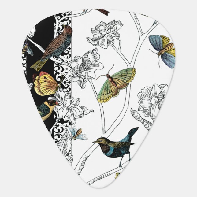 Birds and Butterfly on a Black & White Background Guitar Pick (Front)
