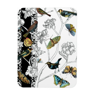Birds and Butterfly on a Black & White Background Magnet