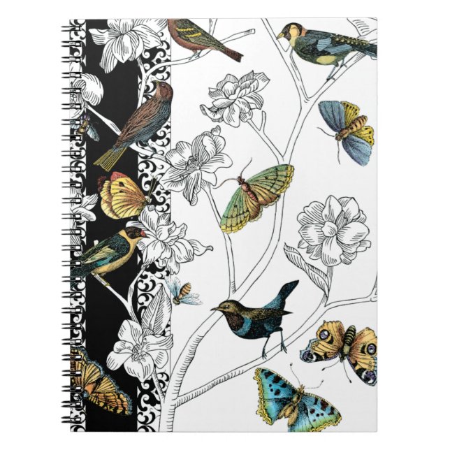 Birds and Butterfly on a Black & White Background Notebook (Front)