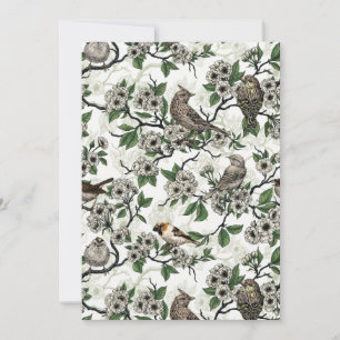 Birds and cherry blossom on white